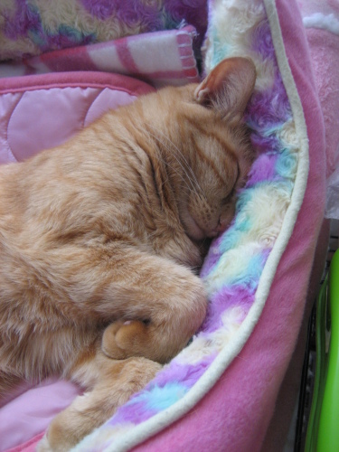 Sept. 19, 2015(8).JPG