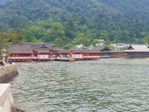 miyajima1_h240623_06.jpg