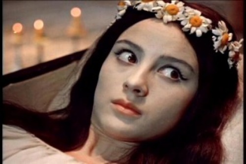 PDVD_012.jpg