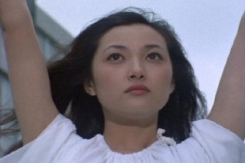 PDVD_018.jpg