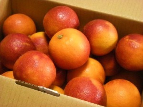 DSCN7365 (300x225).jpg