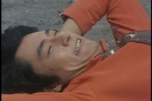 PDVD_005.jpg