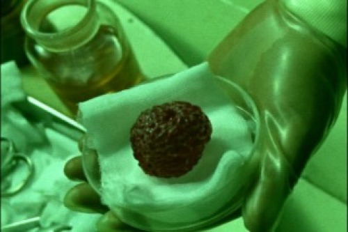 PDVD_022.jpg