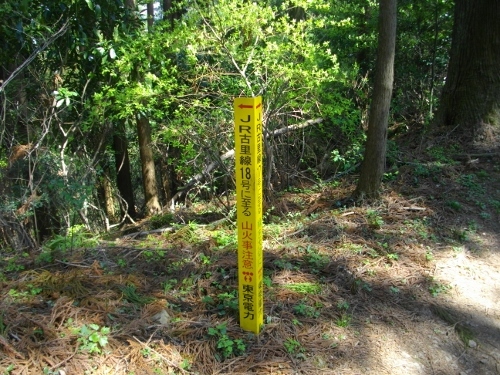 青梅丘陵枡形山 (6) (500x375).jpg