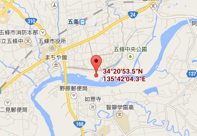 吉野川大川橋上流川、河川敷 地図