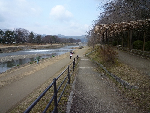 P1040704.jpg