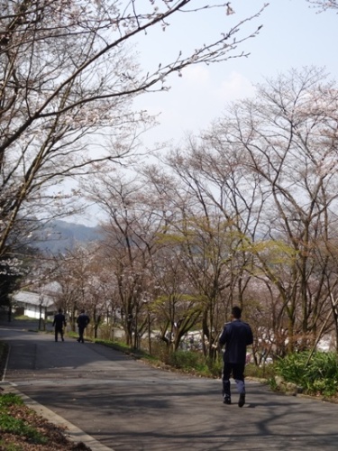 竈門神社春 ブログ用 (12).JPG