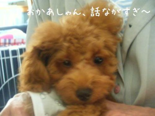 DSCF8817'.jpg