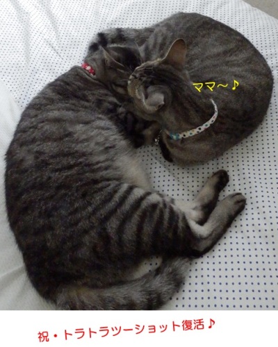 20150907_3.jpg