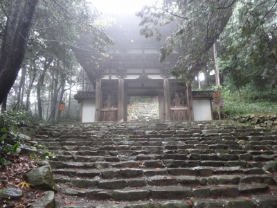 DSC00795.jpg