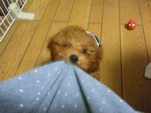 DSCF8555.jpg