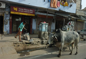 インド925.jpg