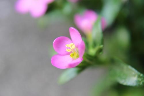 20160516 不明2.jpg