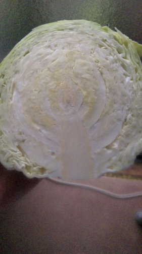 120623_083554.jpg