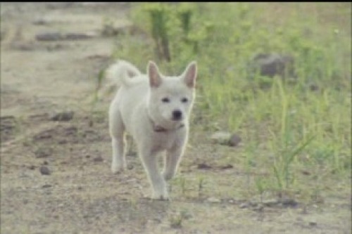 PDVD_022.jpg