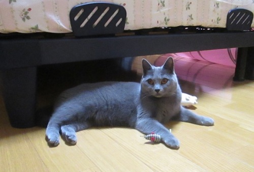 0120d.jpg