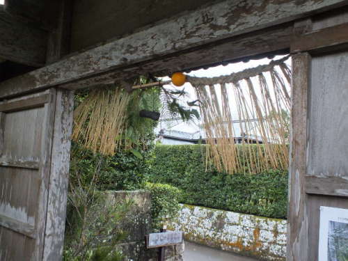 DSCF2537.JPG