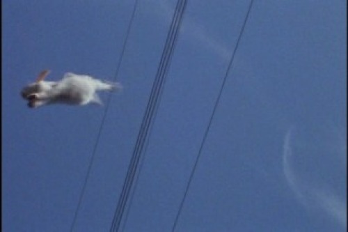 PDVD_038.jpg