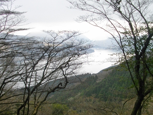 箱根外輪山三国山 (3) (500x375).jpg