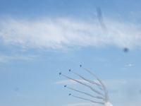 IMG_6499_R.JPG