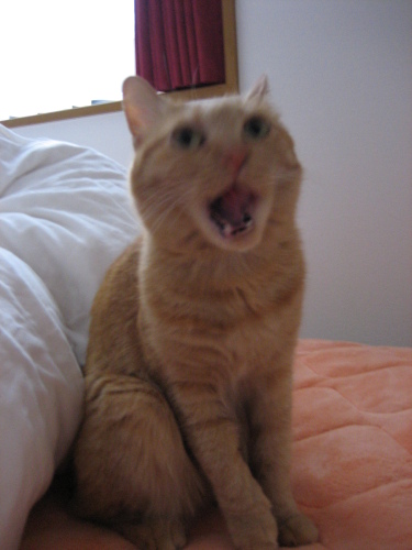 Nov. 29, 2014(3).JPG