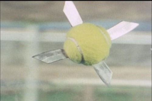 PDVD_018.jpg