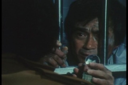 PDVD_031.jpg