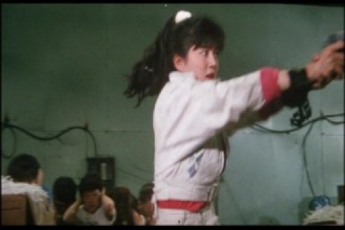 PDVD_029.jpg