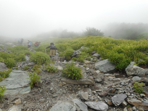 北岳左股登山道 (2).JPG