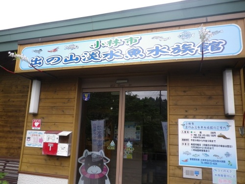淡水魚水族館 (1).JPG