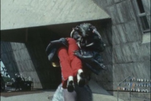 PDVD_011.jpg