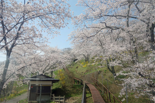 船岡29.jpg