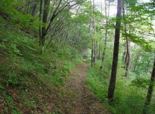 榛名外輪山伊香保関東ふれあいの道 (1) (500x368).jpg