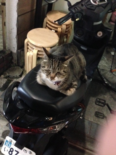 20130701-18.jpeg