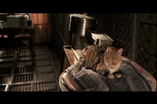 PDVD_004.jpg