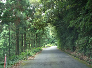 屋久島20.jpg