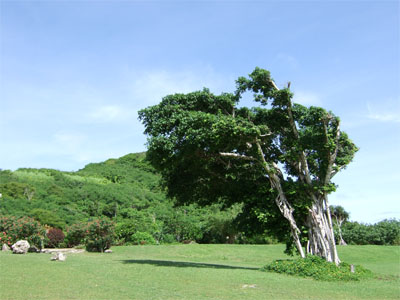 guam62.jpg