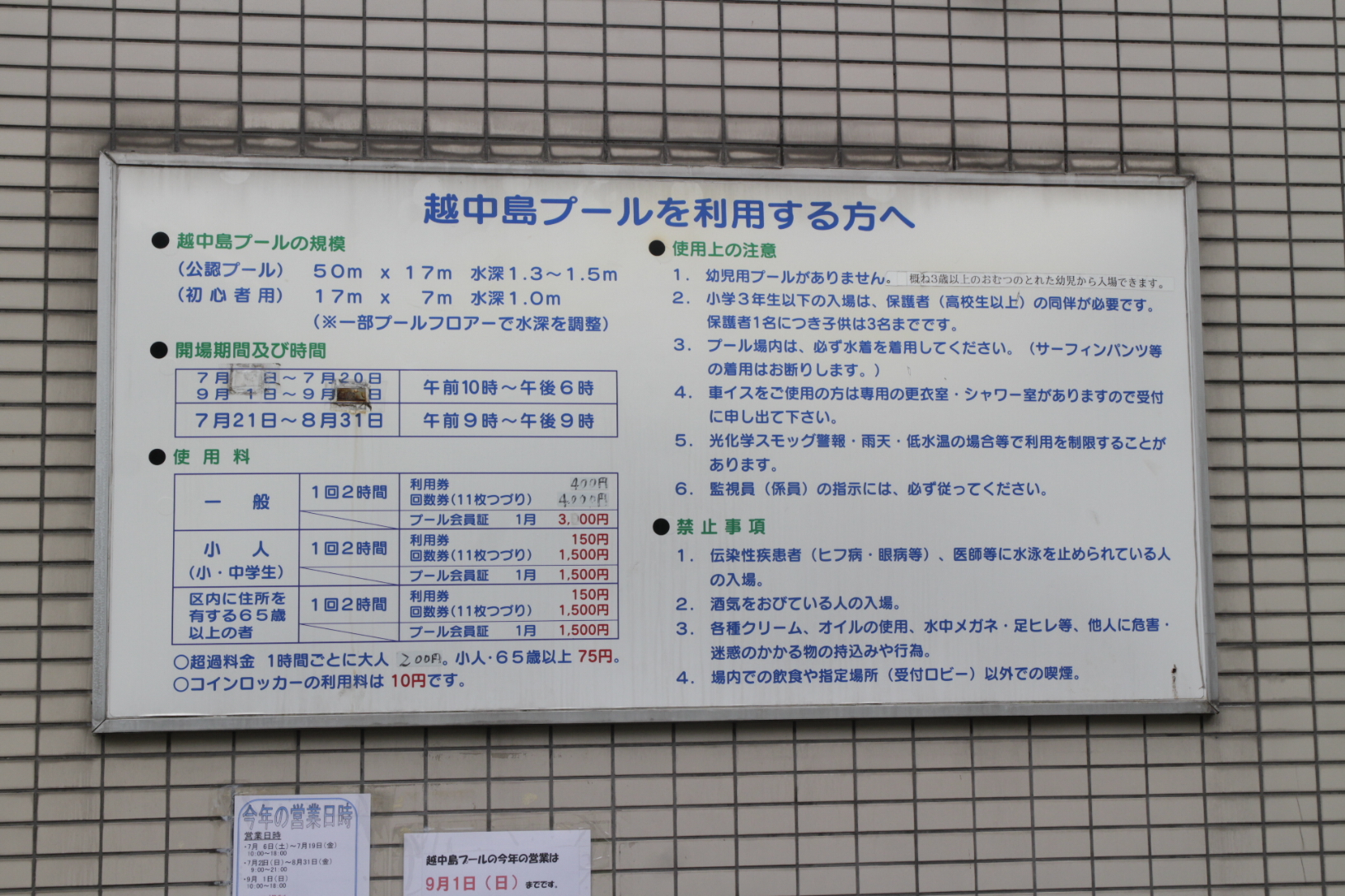 夏は屋外プールで泳ごう 19年版 東京都江東区 区営越中島プール バジェットトラベラー体験録 楽天ブログ