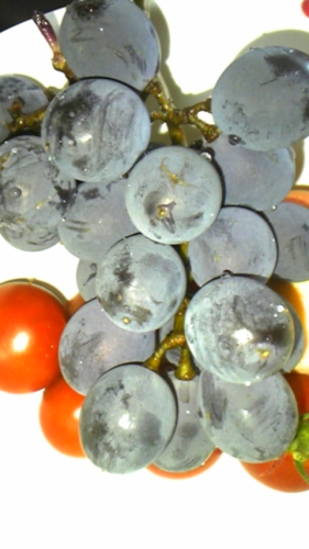 ８月１７日 003.JPG