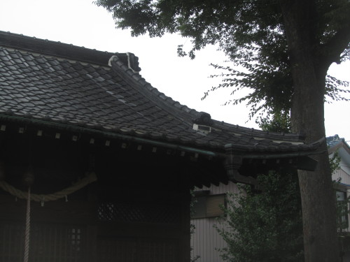 上戸田氷川神社22日目 (18).JPG