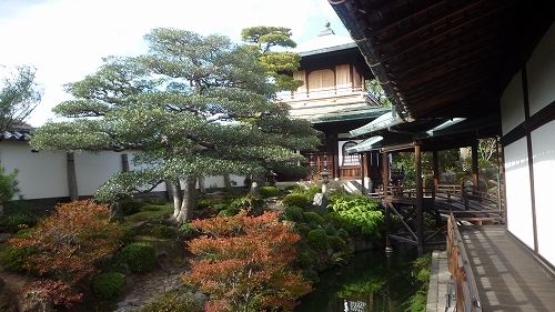 P1050135.jpg