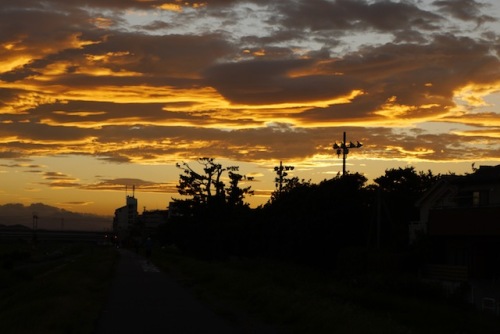 P1160095 のコピー.JPG