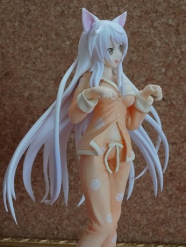 DXFブラック羽川  (8).JPG