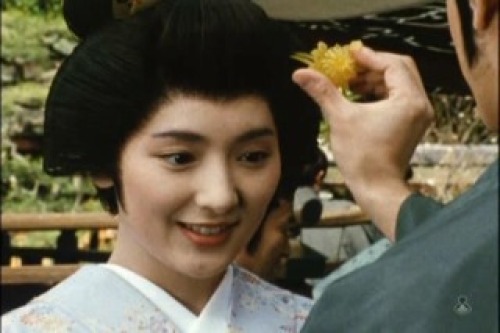 PDVD_005.jpg