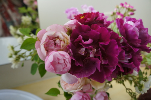 DSC02774.JPG