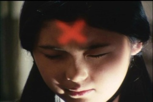 PDVD_008.jpg
