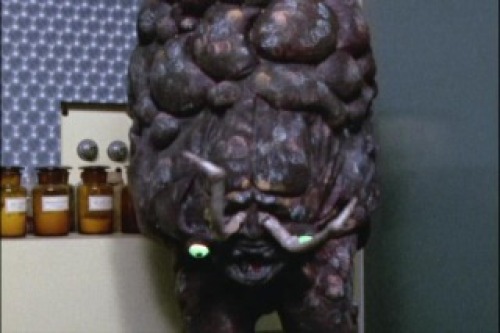 PDVD_018.jpg