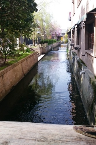 DSC_0006.JPG