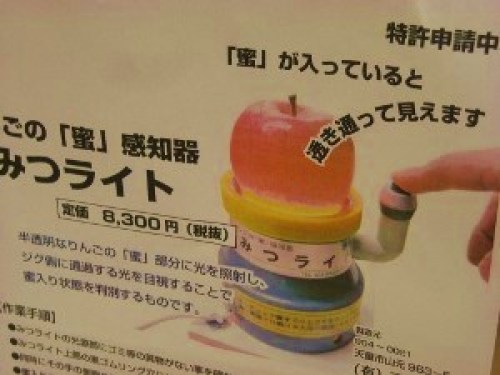 DSCN1355 (300x225).jpg