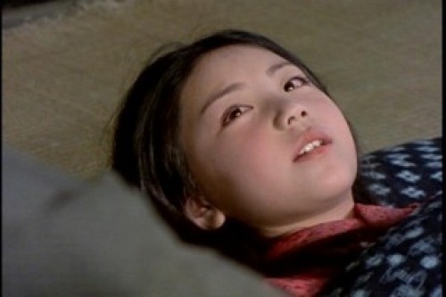 PDVD_004.jpg